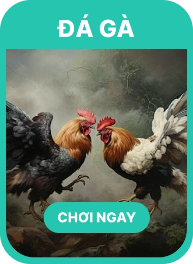 đá gà 6789