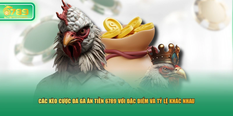 Các kèo cược đá gà ăn tiền 6789 với đặc điểm và tỷ lệ khác nhau
