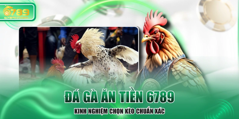 Đá Gà Ăn Tiền 6789 - Kinh Nghiệm Chọn Kèo Chuẩn Xác