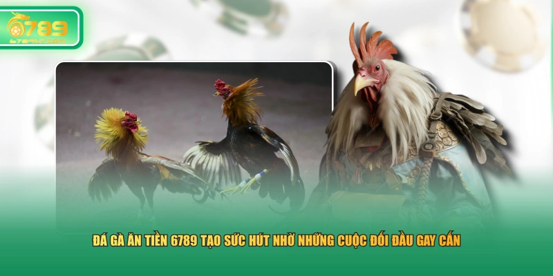 Đá gà ăn tiền 6789 tạo sức hút nhờ những cuộc đối đầu gay cấn