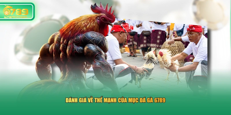 Đánh giá về thế mạnh của mục đá gà 6789