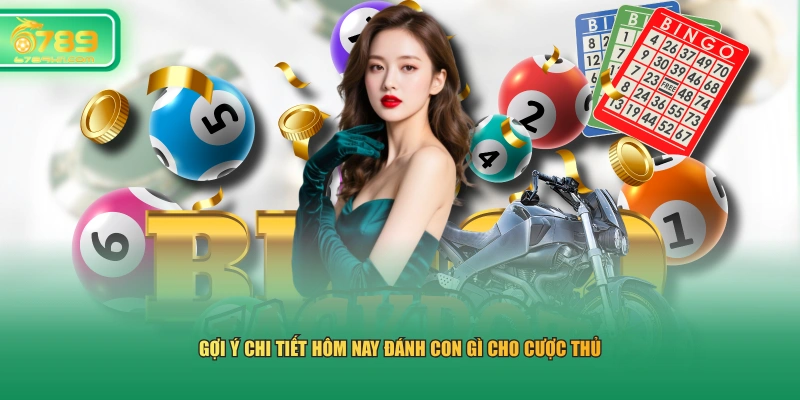 Gợi ý chi tiết hôm nay đánh con gì cho cược thủ